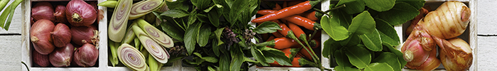 AP-HK-RET-Retail-SE-Asian-Cuisine-Banner-0307-Image