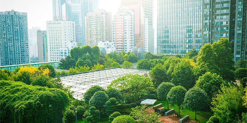 Rooftop Garden