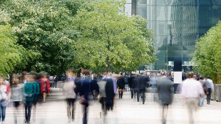 pedestrian