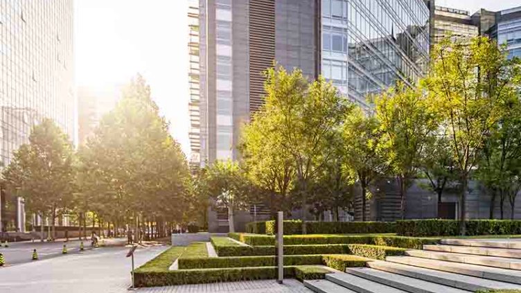 Luxury building with greenery park