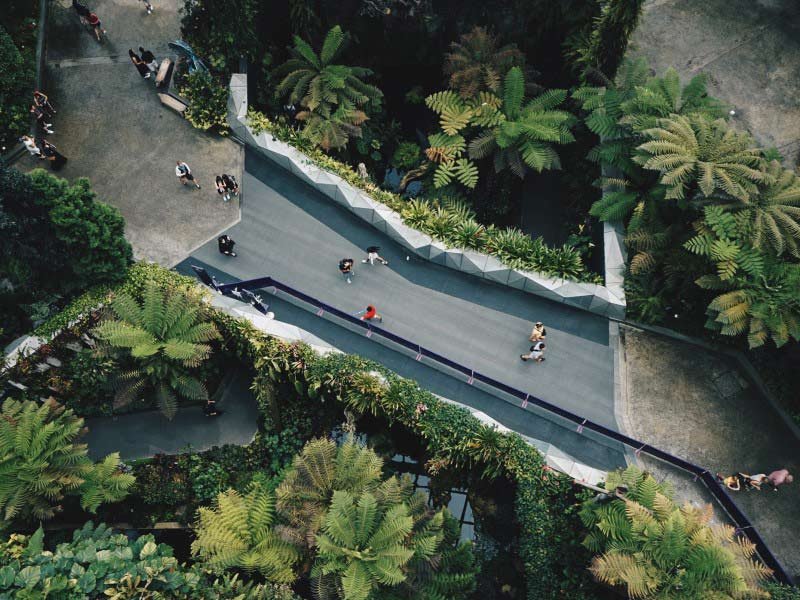 Overhead view of green city